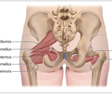 Female Back Anatomy: A Comprehensive Guide