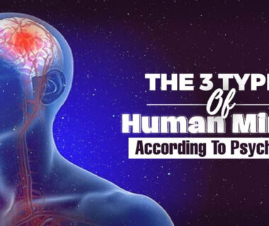 Understanding the Three Types of Minds